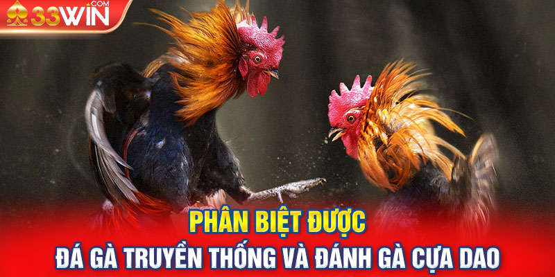 Phân biệt được đá gà truyền thống và đánh gà cựa dao