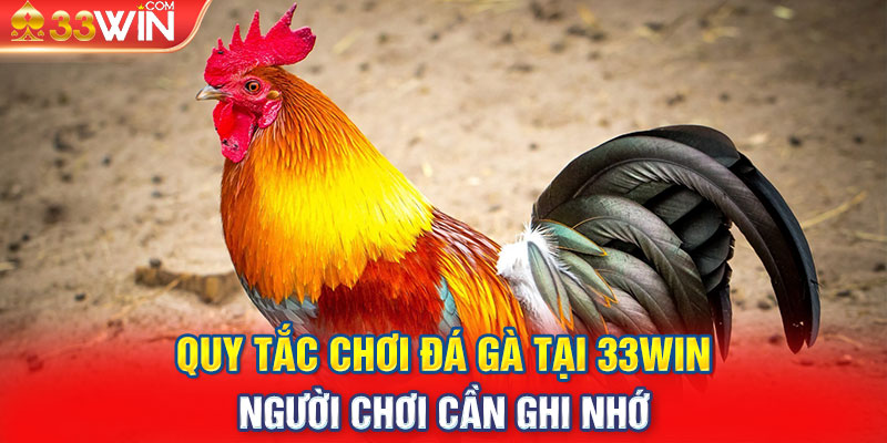 Quy tắc chơi Đá Gà tại 33WIN người chơi cần ghi nhớ